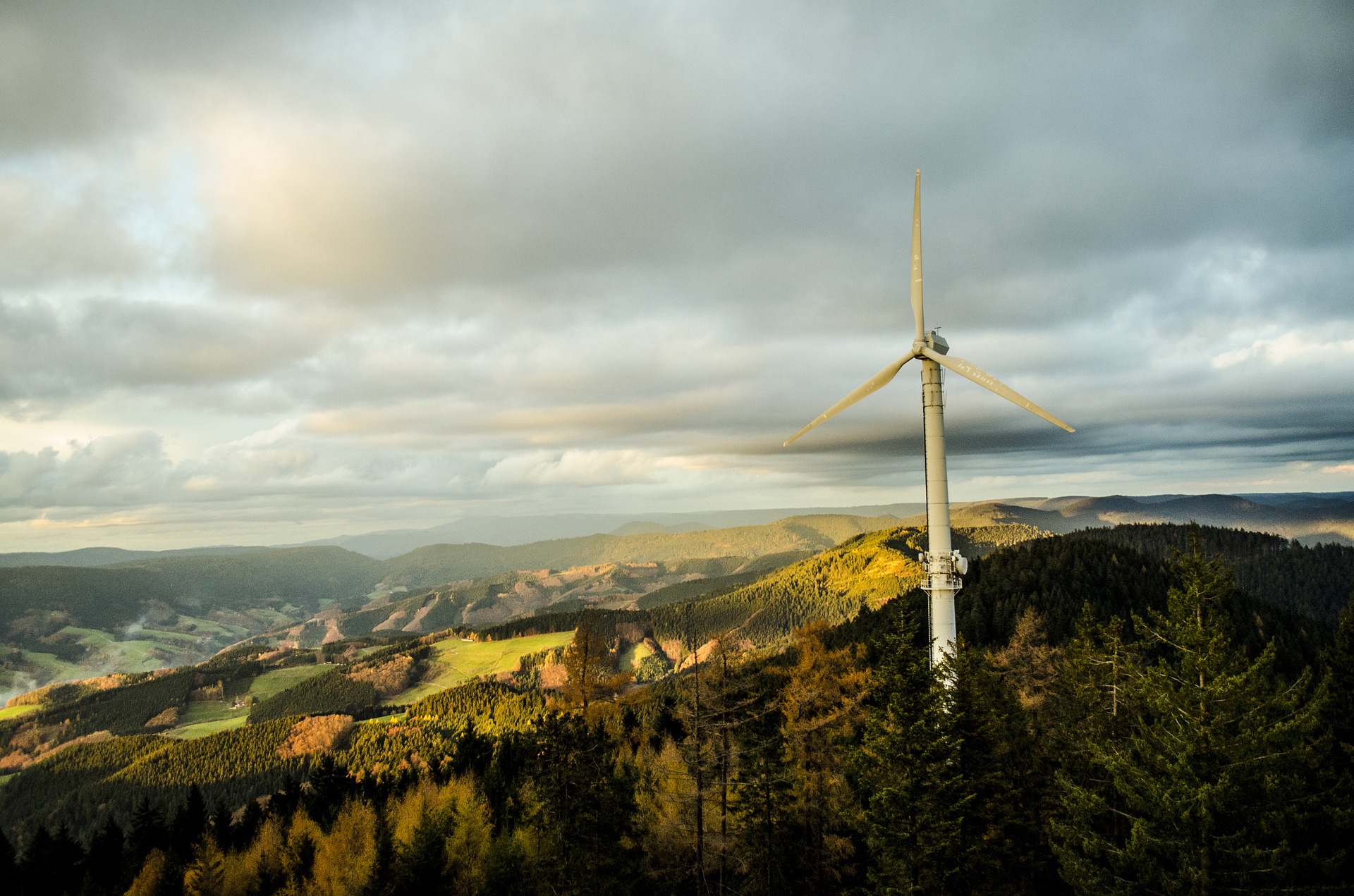 wind turbine Black Forest